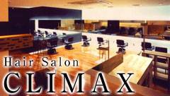 ���e���ײϯ��[�w�A�T����CLIMAX]