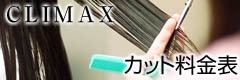 ���e���ײϯ��[�w�A�T����CLIMAX]