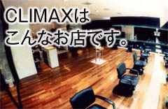 ���e���ײϯ��[�w�A�T����CLIMAX]�p�[�}